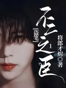盗笔：不二之臣1