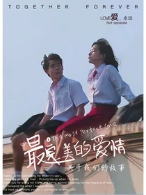 关于我们的故事：最美的爱情