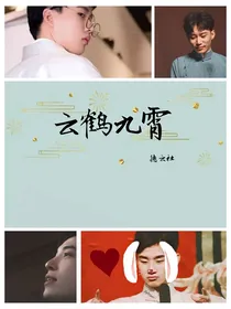 DYS我消失的爱人