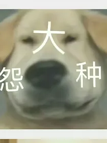 搞笑女攻略记