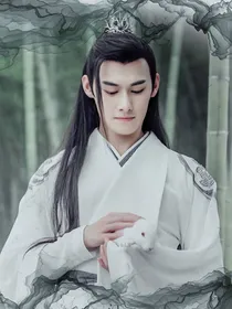 陈情令：一世倾澄