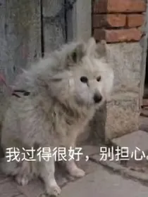 穿越：也在