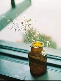生活也是要简简单单