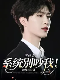 王炸农：系统别吵我！