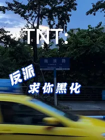 TNT：反派求你黑化