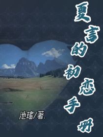 夏言的初恋手册