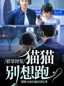 猎罪图鉴：猫猫别想跑