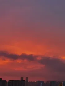 东行二十年