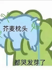 奇怪的星际玛丽苏增加了