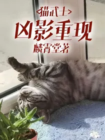 猫武士：凶影重现