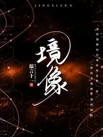 境像