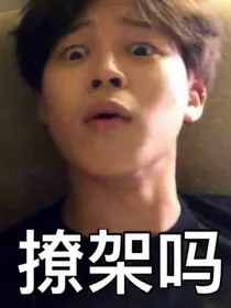 BTS：防弹团妻