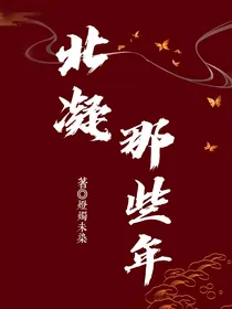 北凝那些年