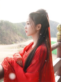 秘密的伙伴-d542