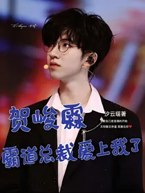 贺峻霖：霸道总裁爱上我了
