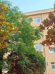 温情再遇陈情