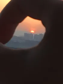 鹤雁孤蔚