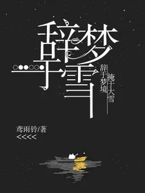 辞梦于雪