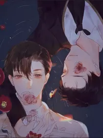落日Z