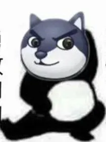 追光的我们