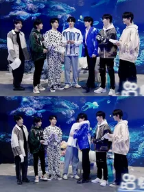 TNT：及时要行乐