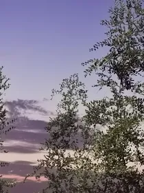 TNT：姐姐超级甜