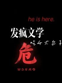 发疯文学