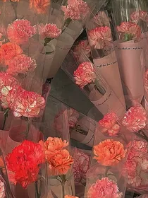 时代少年团中的瓜花日常之撩了就跑