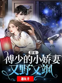 甜宠：傅少的小娇妻又野又飒