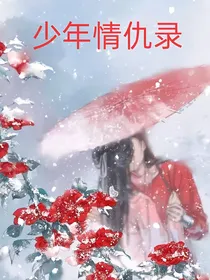 少年情仇录