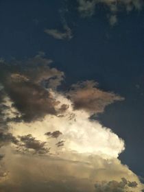 终极三国之抉择