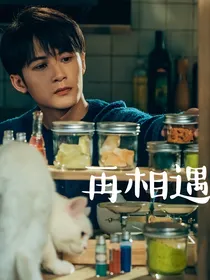 猎罪图鉴：再相遇