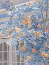 两生劫源