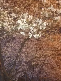 风听白
