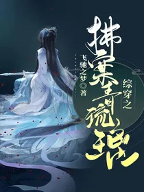 综穿之拂案青琉璃