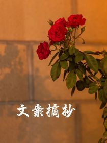 文案摘抄呀