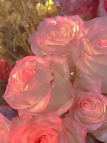 橙光予你