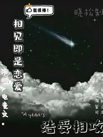 相见就是恋爱