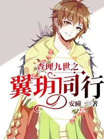 查理九世之翼玥同行