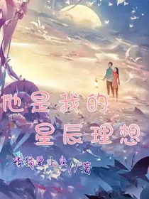 他是我的星辰理想