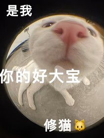 洛年赋：关于我娘是皇帝初恋这件事