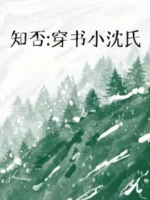 知否：穿书小沈氏