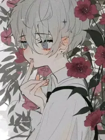 快穿：炮灰攻略之计