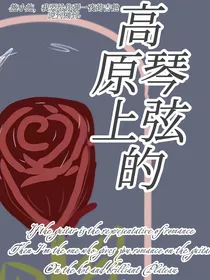 高原上的琴弦