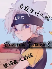 crack的现设之旅