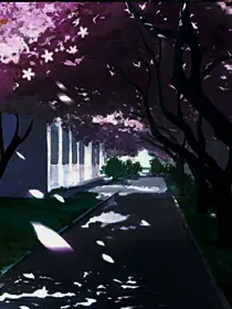 止步于盛夏
