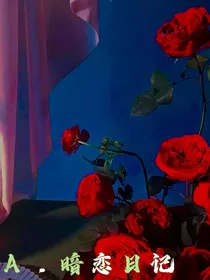 Aaaaaa暗恋日记