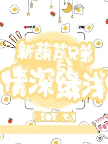 新葫之情深缘浅