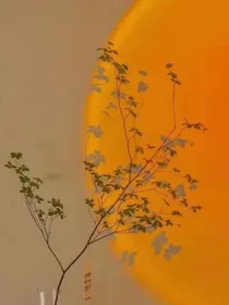 落日出逃（作者：夏日至死）