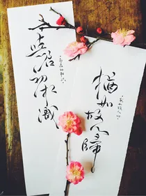 驭鲛记之君落兮